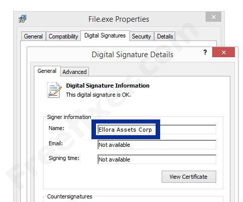 Screenshot of the Ellora Assets Corp certificate